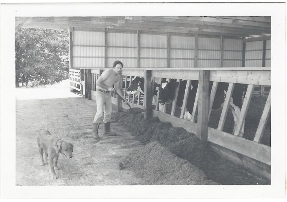 Stonyvale becomes a commercial dairy