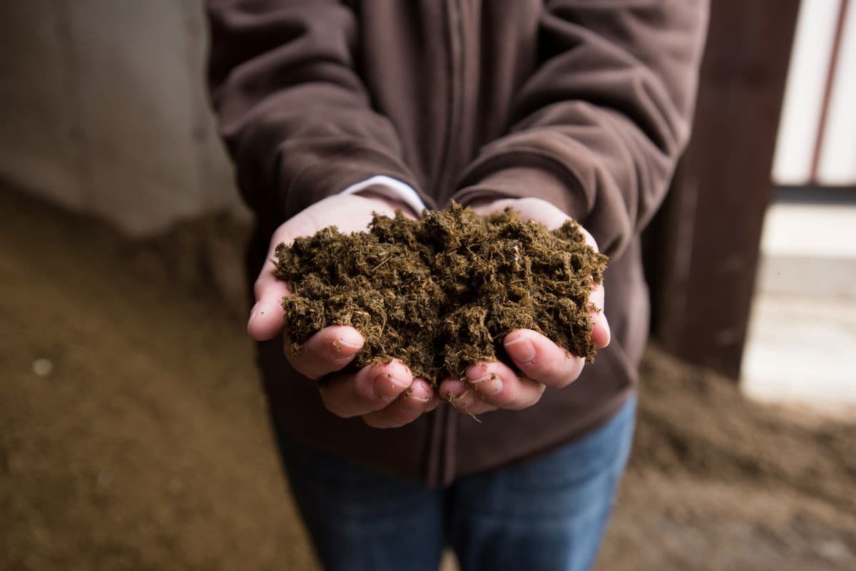 Digestate, the fertilizer product of anaerobic digestion