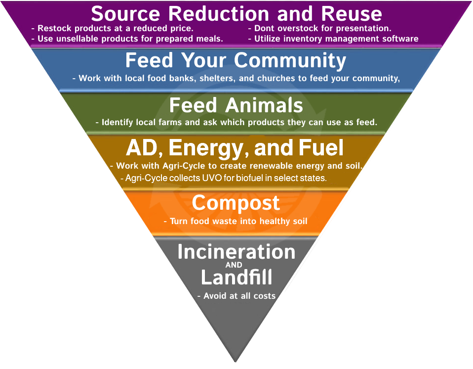 food hierarchy