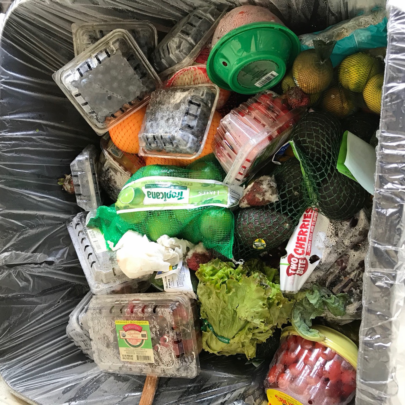 Food that shouldn't be wasted!